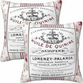 Huile De Quinine Vintage French 18 X 18 Pillow Covers Elegance Fountain Pink by Unknown