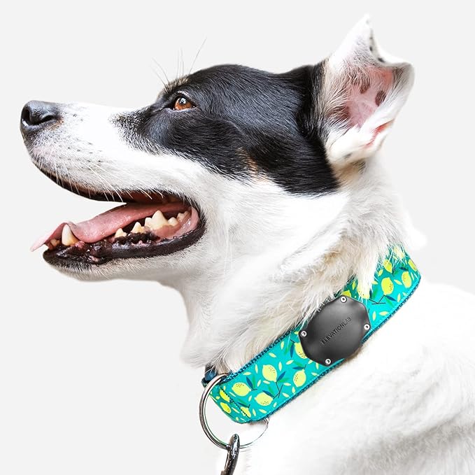 Elevation Lab AirTag Dog Collar Holder - Image 8