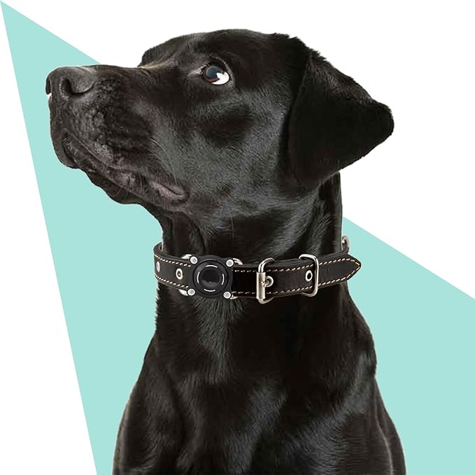 Waterproof Dog Collar Holder for Airtag – Dustproof, Ultra-Durable, Shockproof - Image 2