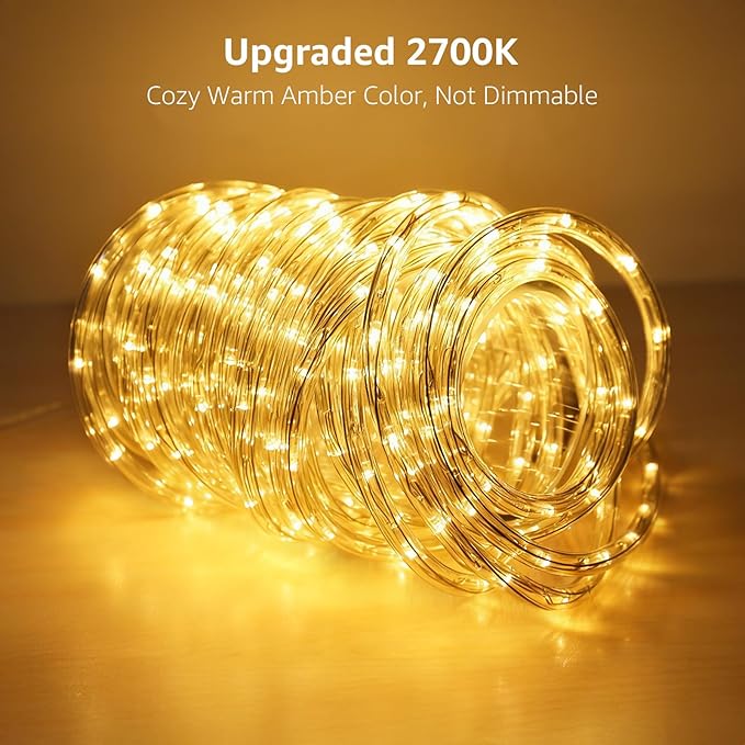 LE 33ft 240 LED Rope Lights Outdoor 24 Volts, 3/8 inch Clear Tube, Upgraded - Image 2