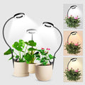 Wolezek 2 in 1 Grow Lights for Indoor Plants, 3 Colors Plant Lights by WOLEZEKLED