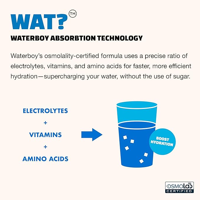 Waterboy Weekend Recovery | 3, 200mg Electrolyte Powder Packets | Ginger + - Image 6
