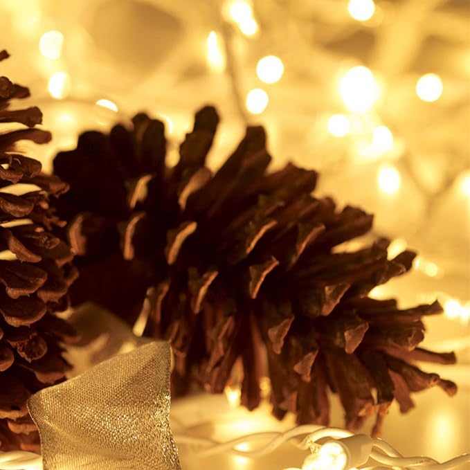 HISHINY Christmas Lights 100 Count Mini Clear Lights 32ft White Wire Christmas - Image 4