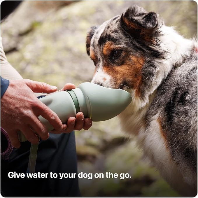 SÄKER Portable Dog Water Bottle, Collapsible Water Bottle - Image 2