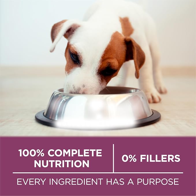 Purina ONE Plus Healthy Puppy Formula High Protein Natural Dry Puppy Food - Image 7