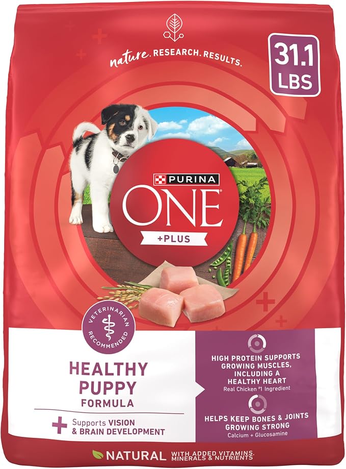 Purina ONE Plus Healthy Puppy Formula High Protein Natural Dry Puppy Food by PurinaONE