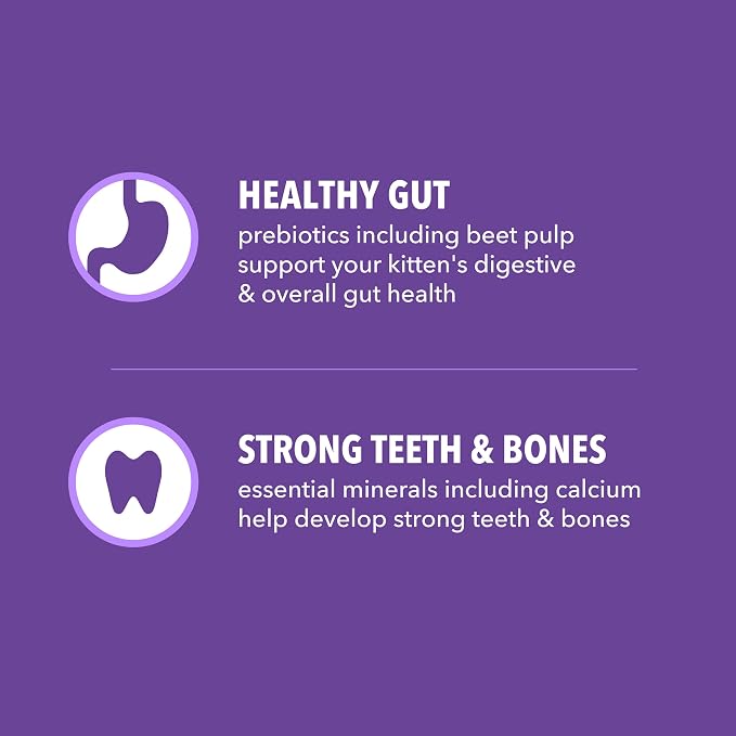 IAMS Proactive Health Kitten Dry Cat Food, Healthy Kitten Food Dry Recipe - Image 4