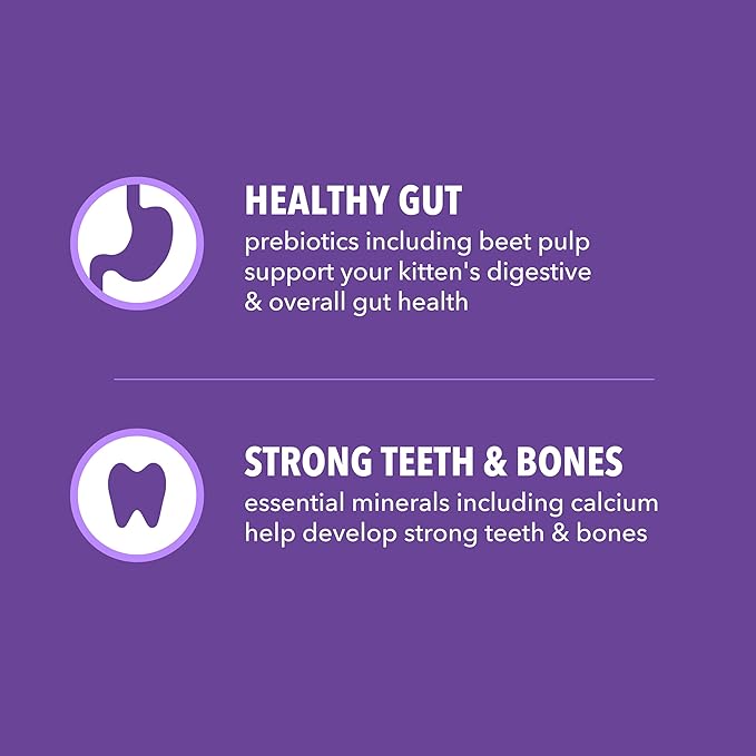 IAMS Proactive Health Kitten Dry Cat Food, Healthy Kitten Food Dry Recipe - Image 4