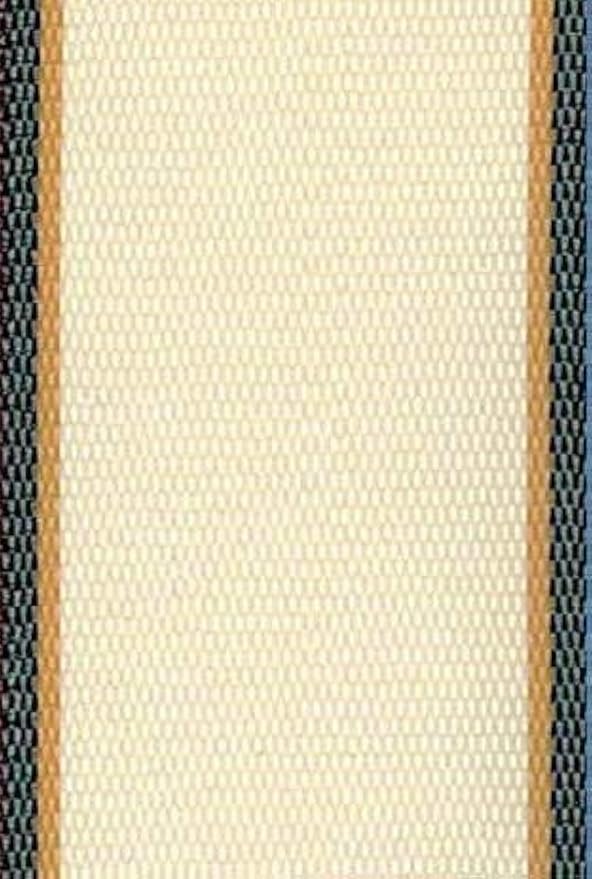 Lawn Chair USA Replacement Lawn Chair Webbing by LawnChairUSA