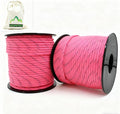 2 Pcs 200ft Paracord Rope, Reflective III Parachute Cord 7 Strand Core 550lb by LUOPUTUO