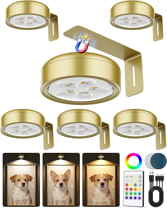 Picture Lights for Wall, Wireless 2000mAh Rechargeable Magnetic LED Puck Lights by ERMTCTSWallLights
