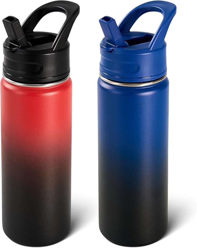 Fijinhom 2 Pack 18oz Insulated Stainless Steel Water Bottle by Fijinhom
