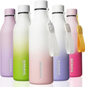 BJPKPK Insulated Water Bottles, 25 oz Stainless Steel Metal Water Bottle by BJPKPK
