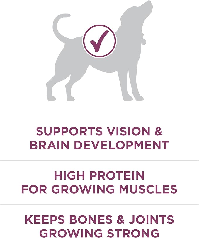 Purina ONE Plus Healthy Puppy Formula High Protein Natural Dry Puppy Food - Image 3