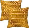 Bee Honeycomb Throw Pillow Covers 18x18 Yellow Honey Abstract Set of 2 Pillow by Unknown