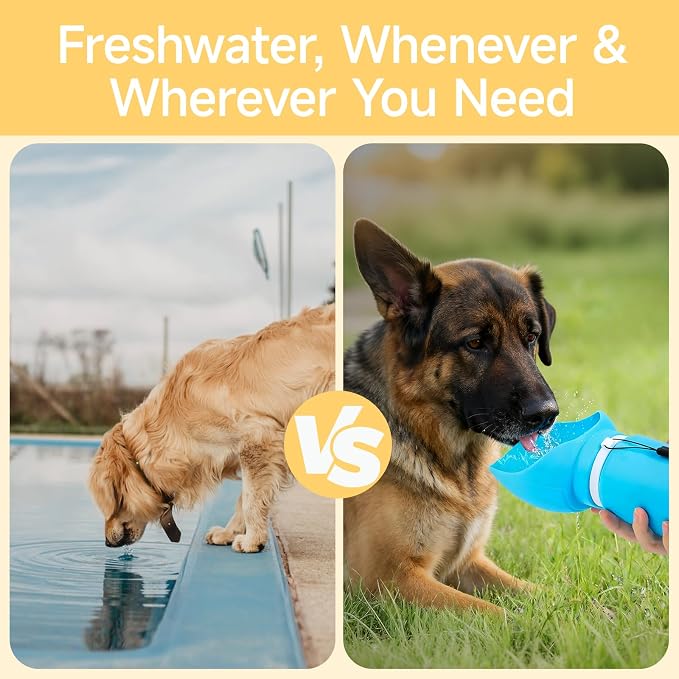 Dog Water Bottle, Leakproof Portable Water Bowl - Image 3