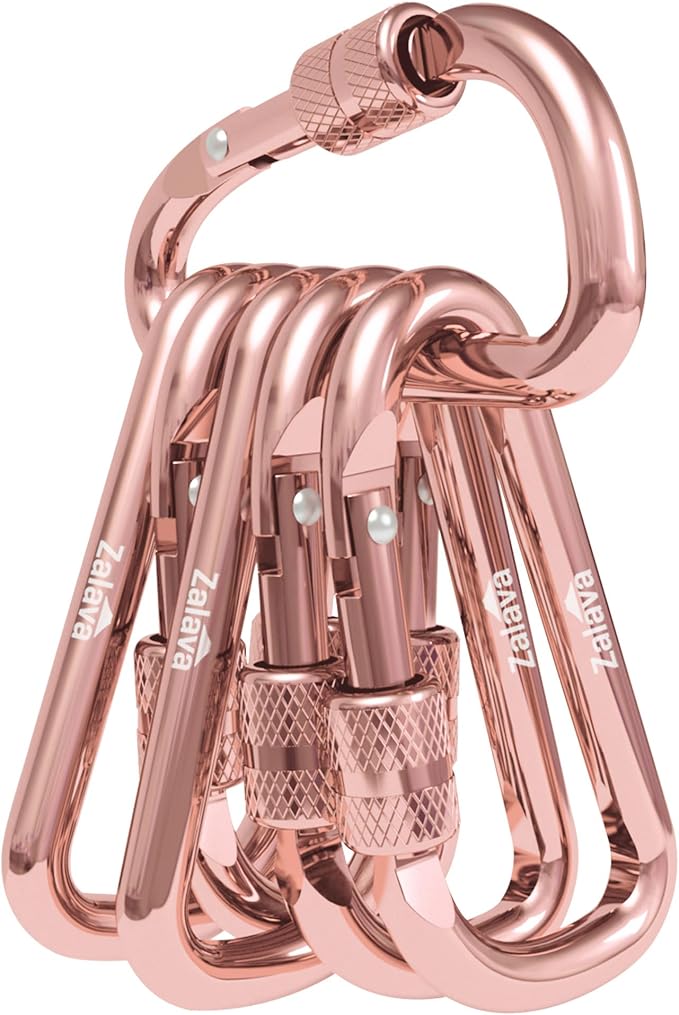 6PCS Carabiner Keychain, 2 inch Aluminum D-Clip Caribeener by Zalava
