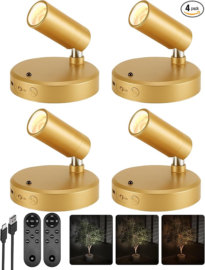 EZVALO LED Spotlight Indoor, 5500mAh Rechargeable Battery-Powered Picture Lights by EZVALO