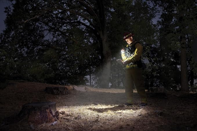 Mini Maglite Pro LED 2-Cell AA Flashlight, High Lumen, Water-Resistant - Image 3