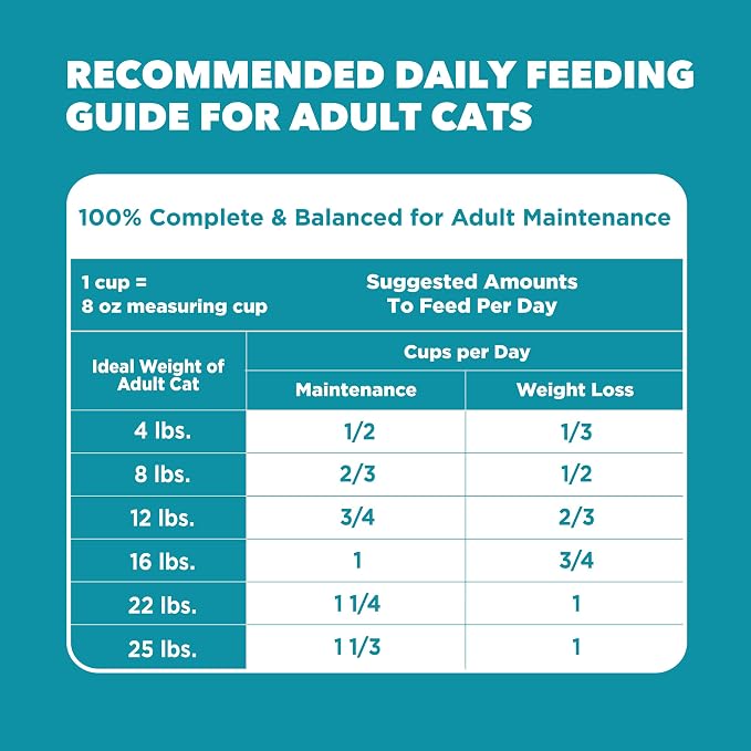 IAMS Proactive Health Dry Cat Food, Indoor Weight and Hairball Care Cat Food - Image 10
