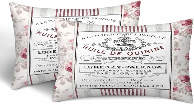Huile De Quinine Vintage French 12 X 20 Pillow Covers Elegance Fountain Pink by Unknown