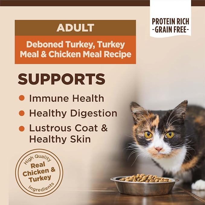 Wellness CORE Adult Dry Cat Food, Grain Free Kibble, Turkey Meal and Chicken - Image 2