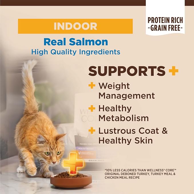 Wellness CORE+ Adult Dry Cat Food - Image 2