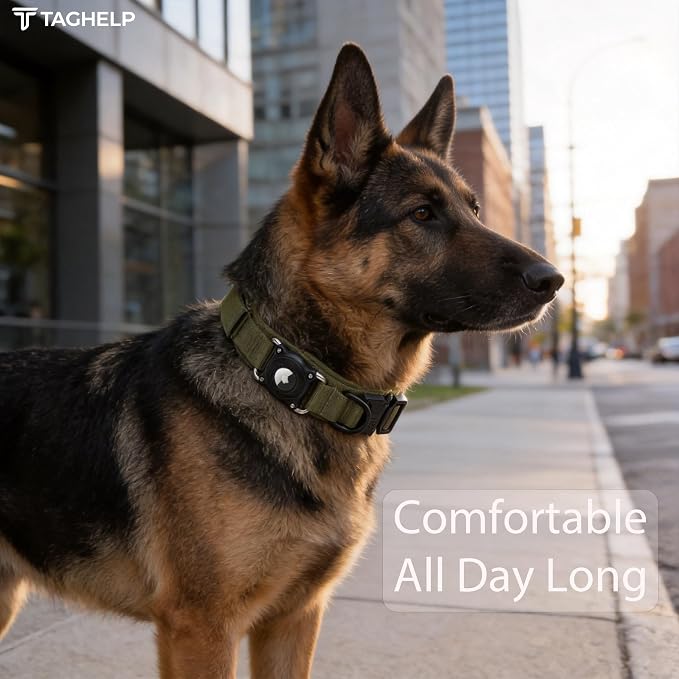Waterproof AirTag Dog Collar - Image 7