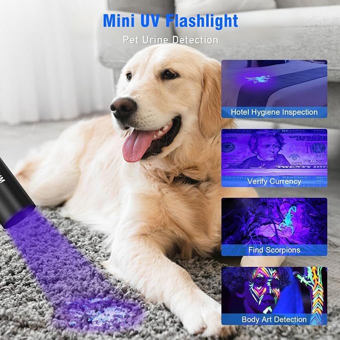 Goreit Flashlights LED High Lumens Rechargeable, 000 Lumens XHM77.2 Super - Image 4