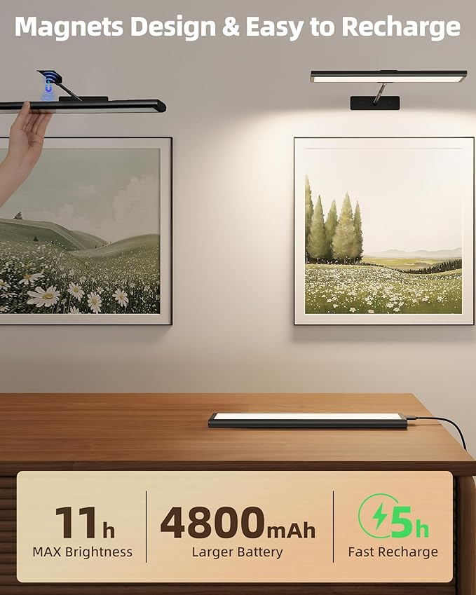 EZVALO Picture Light for Wall, Dimmable Magnetic LED Art Painting Light - Image 3