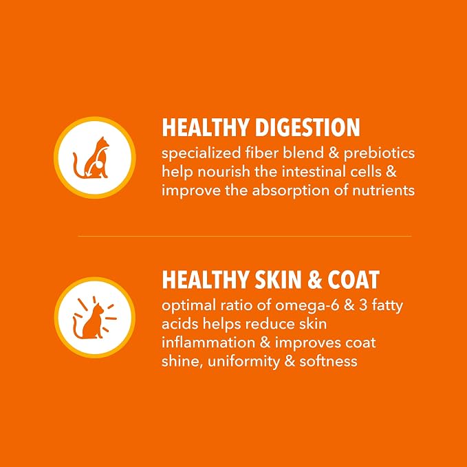 IAMS Proactive Health Dry Cat Food, Healthy Cat Food Dry Recipe - Image 5
