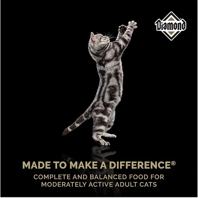 Diamond Maintenance Cat Dry Food 30/15 - Image 7