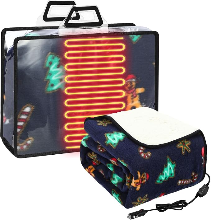 Riakrum 12V Car Heated Blanket for Cold by Riakrum