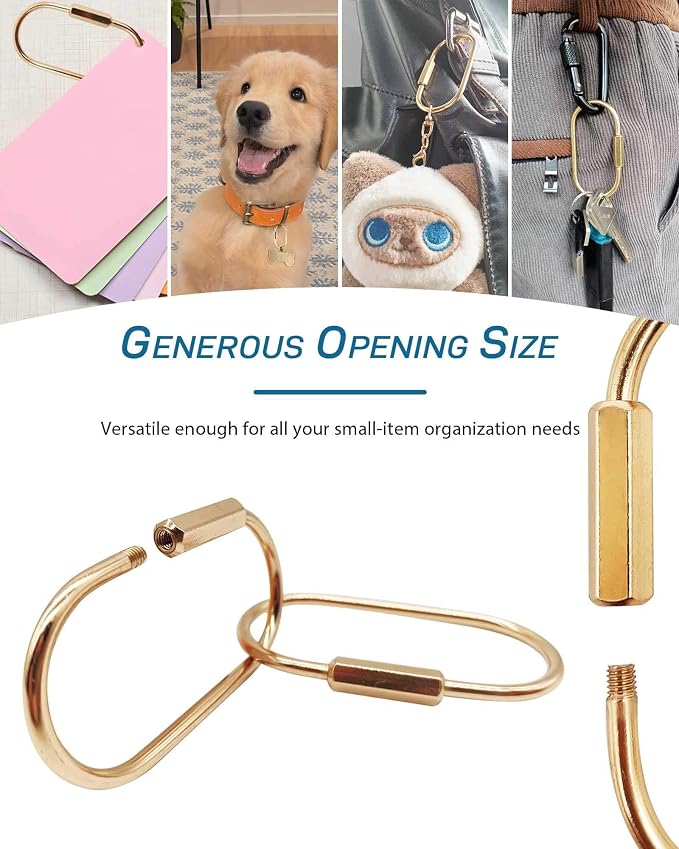 Brass Gold Carabiner Clip for Keys - Image 6