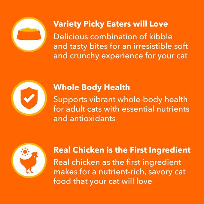 IAMS Healthy Enjoyment Dry Cat Food Chicken & Salmon Recipe, Cat Food Dry Recipe - Image 4