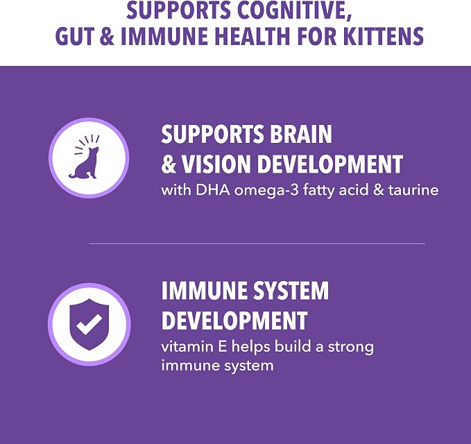 IAMS Proactive Health Kitten Dry Cat Food, Healthy Kitten Food Dry Recipe - Image 3