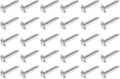Lawn Chair USA Webbing Screws, 30 Pack by LawnChairUSA