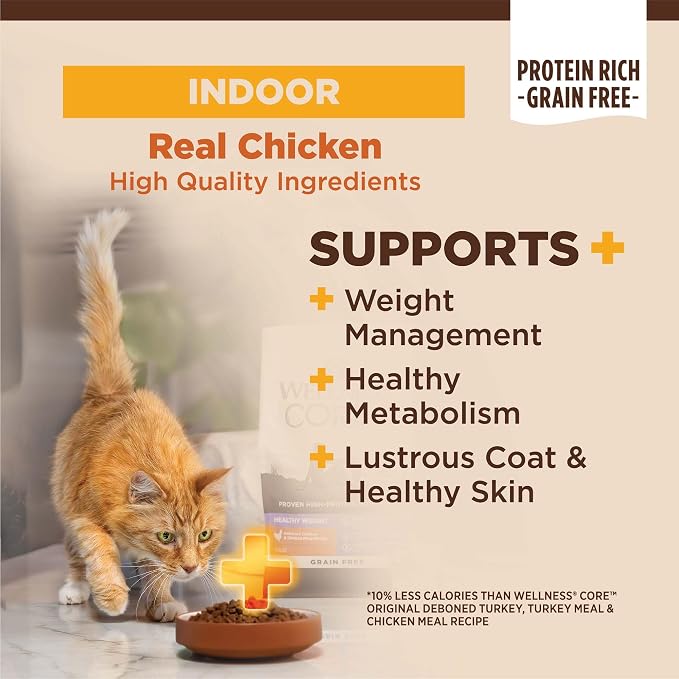 Wellness CORE+ Adult Dry Cat Food - Image 2