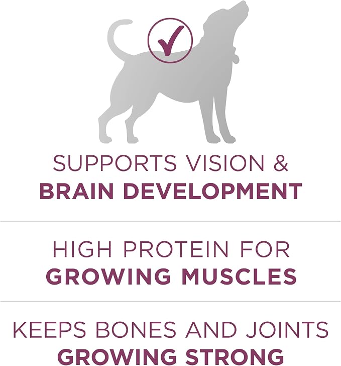 Purina ONE Puppy Food, High Protein Formula | Natural Ingredients | Added - Image 6