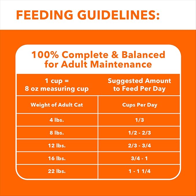 IAMS Healthy Enjoyment Dry Cat Food Chicken & Salmon Recipe, Cat Food Dry Recipe - Image 7