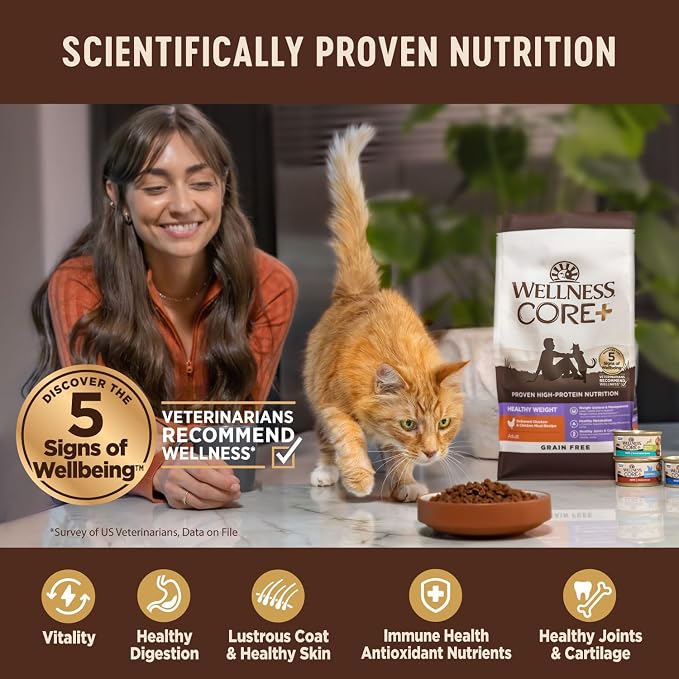 Wellness CORE+ Adult Dry Cat Food - Image 4