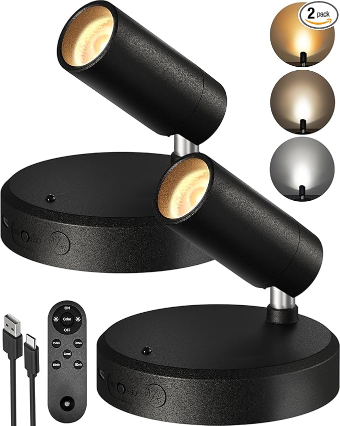 EZVALO Spotlights Indoor with Remote, 5500mAh Rechargeable Picture Lights by EZVALO