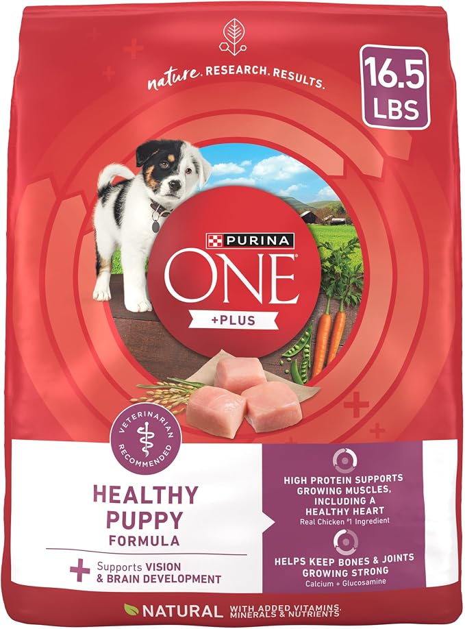 Purina ONE Plus Healthy Puppy Formula High Protein Natural Dry Puppy Food by PurinaONE