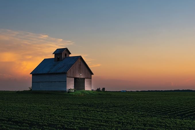 Lithonia Lighting BarnGuard LED Barn Light, Dusk to Dawn Outdoor Lighting - Image 10