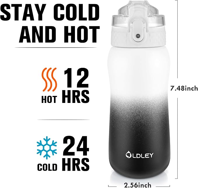 OLDLEY Insulated Water Bottle 12oz Water Bottles - Image 3