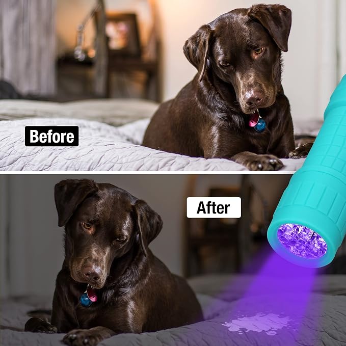 EverBrite Black Light Flashlight 6 Pack, UV Mini Flashlight, 9-Led 395nm - Image 3