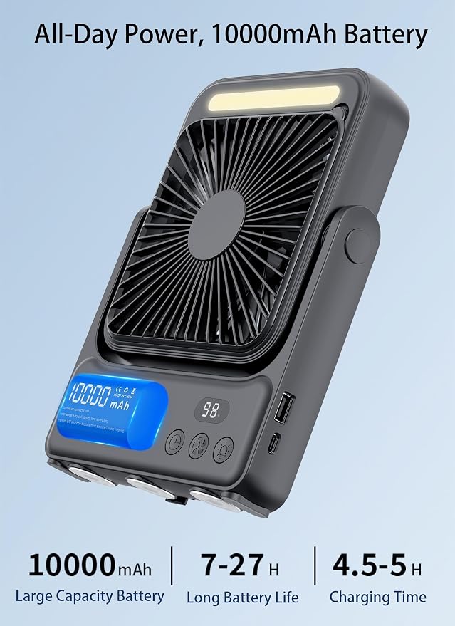Magnetic Cruise Approved Fan - Image 5