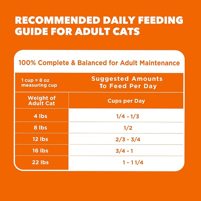 IAMS Proactive Health Dry Cat Food, Healthy Cat Food Dry Recipe - Image 9
