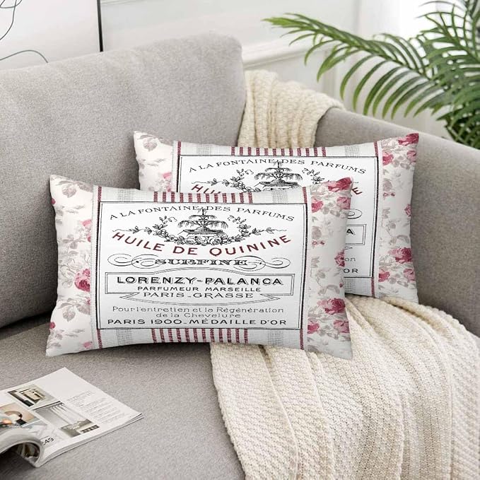 Huile De Quinine Vintage French 12 X 20 Pillow Covers Elegance Fountain Pink - Image 5