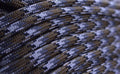 USA Made 550 Paracord by BoredParacord